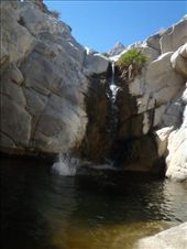 by kiwiaoraki, Views[156]