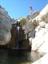 by kiwiaoraki, Views[170]