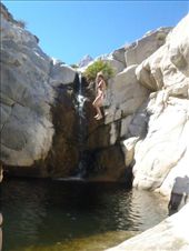 by kiwiaoraki, Views[153]