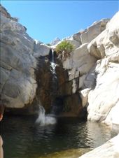 by kiwiaoraki, Views[166]