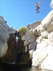 by kiwiaoraki, Views[166]