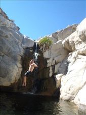 by kiwiaoraki, Views[169]