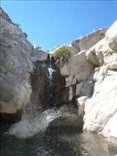 by kiwiaoraki, Views[201]