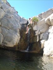 by kiwiaoraki, Views[196]