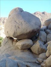 by kiwiaoraki, Views[210]