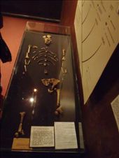 by kiwiaoraki, Views[197]