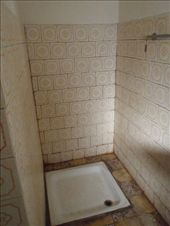 by kiwiaoraki, Views[468]