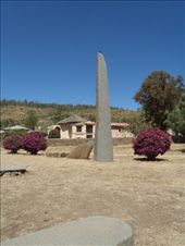 by kiwiaoraki, Views[186]