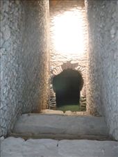 by kiwiaoraki, Views[165]