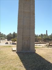 by kiwiaoraki, Views[147]