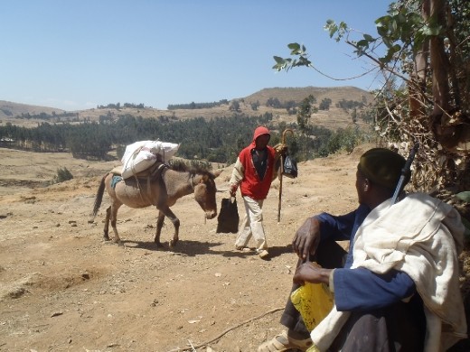 My mule, muleman, and scout