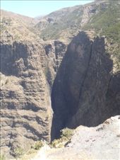 by kiwiaoraki, Views[159]