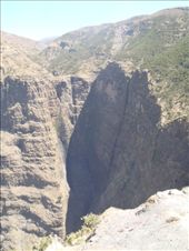 by kiwiaoraki, Views[173]