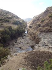 by kiwiaoraki, Views[173]