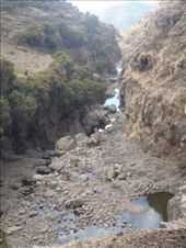 by kiwiaoraki, Views[162]