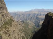 by kiwiaoraki, Views[201]