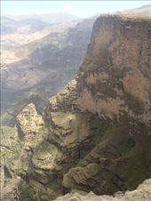 by kiwiaoraki, Views[301]