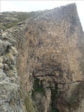 by kiwiaoraki, Views[184]