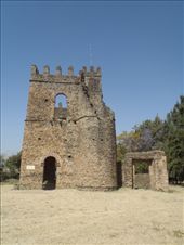 by kiwiaoraki, Views[161]