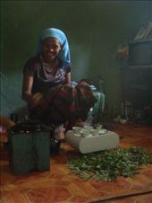 by kiwiaoraki, Views[141]