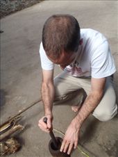 by kiwiaoraki, Views[154]