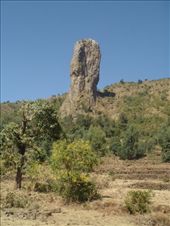 by kiwiaoraki, Views[432]