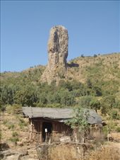 by kiwiaoraki, Views[425]