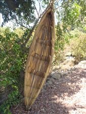 by kiwiaoraki, Views[401]