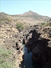 by kiwiaoraki, Views[408]