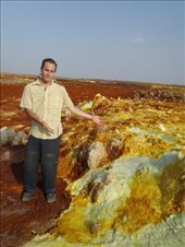 by kiwiaoraki, Views[117]