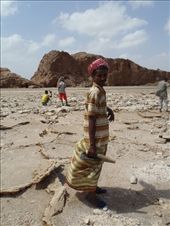 by kiwiaoraki, Views[166]