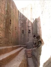 by kiwiaoraki, Views[163]