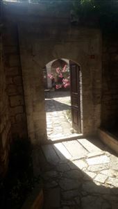 by kiwiaoraki, Views[79]