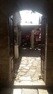 by kiwiaoraki, Views[75]