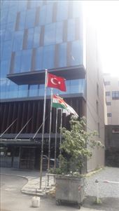 by kiwiaoraki, Views[107]