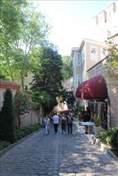 by kiwiaoraki, Views[48]