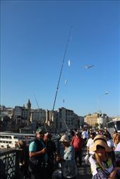 by kiwiaoraki, Views[80]