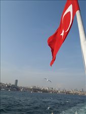 by kiwiaoraki, Views[431]