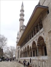 by kiwiaoraki, Views[151]