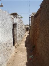 by kiwiaoraki, Views[382]