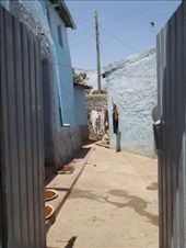 by kiwiaoraki, Views[428]