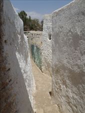 by kiwiaoraki, Views[389]