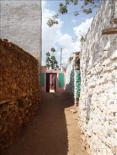 by kiwiaoraki, Views[153]