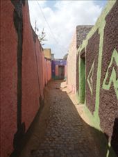 by kiwiaoraki, Views[151]