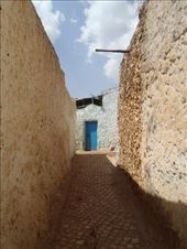 by kiwiaoraki, Views[157]