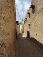 by kiwiaoraki, Views[181]