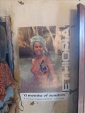 by kiwiaoraki, Views[416]