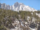 by kiwiaoraki, Views[486]