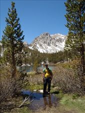 by kiwiaoraki, Views[469]