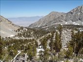 by kiwiaoraki, Views[227]